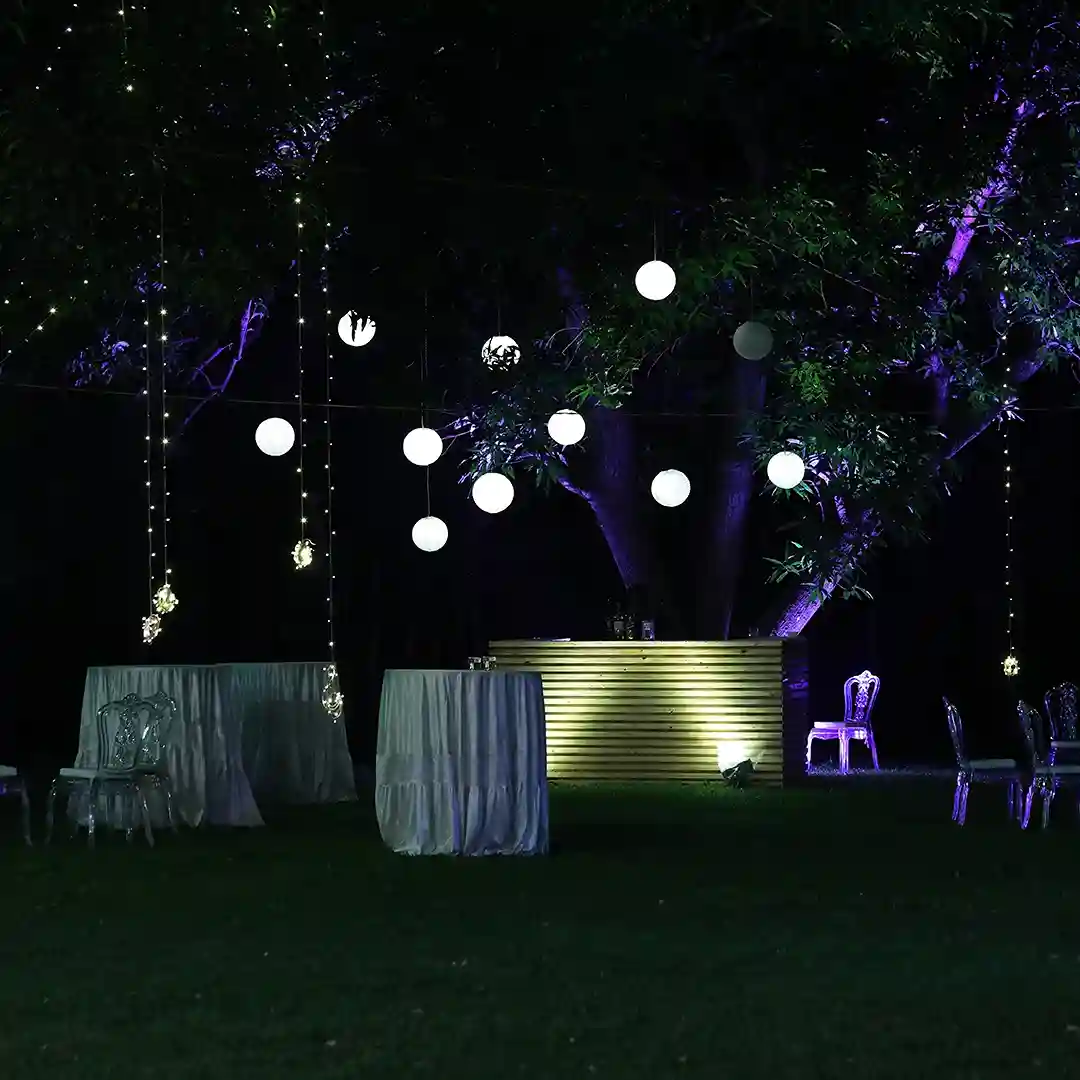 Private Birthday Party